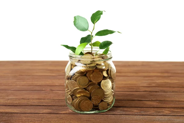 Plant growing in bowl of coins — Stock Photo, Image