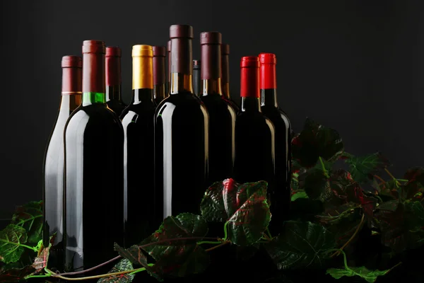 Wine bottles with grapevine — Stock Photo, Image