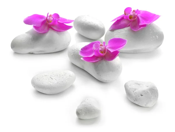 Beyaz spa taşlar ve orkide — Stok fotoğraf