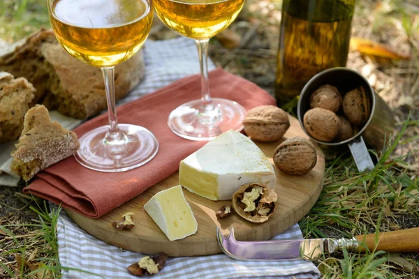 Bílé víno, sýr, ořechy a chléb — Stock fotografie