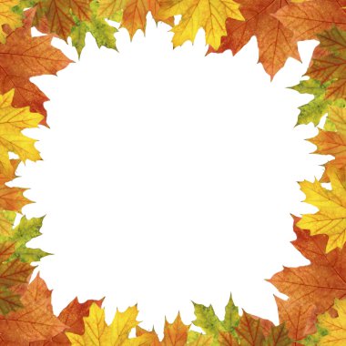 Altın sonbahar yaprakları