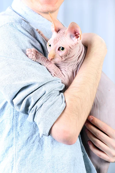 Giovane che tiene un gatto — Foto Stock