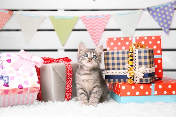 Pequeño gris gatito celebrando cumpleaños — Foto de Stock