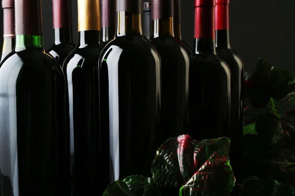 Tmavé láhve vína — Stock fotografie