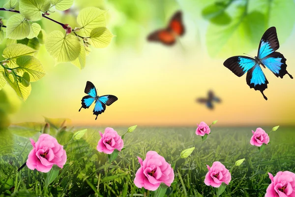 Background with butterflies, green grass and leaves — Stock Photo, Image