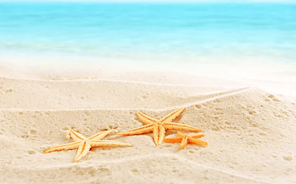 Starfishes on sea sand — Stock Photo, Image