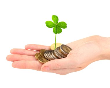 Yonca yaprağı ve euro paralar el