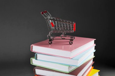 Küçük alışveriş sepeti ile gri arka plan üzerinde renkli kitap yığını