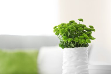 Güzel yeşil Kasımpatı'Oda tabloda vazoda