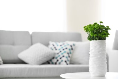 Güzel yeşil Kasımpatı'Oda tabloda vazoda