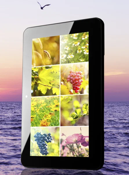 Tablet Pc met beelden van natuurlijke objecten — Stockfoto