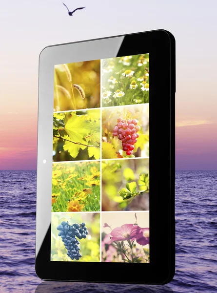 Tablet PC con immagini di oggetti naturali — Foto Stock