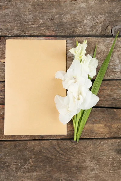 Tarjeta en blanco con hermoso gladiolo — Foto de Stock