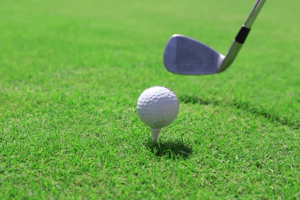 Golf Kulübü ve top yeşil çimenlerin üzerinde — Stok fotoğraf