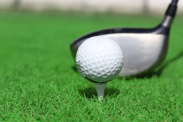Golf clube e bola em uma grama verde, close-up — Fotografia de Stock