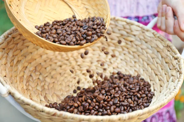 Woman carriescoffee beans — Stock Photo, Image