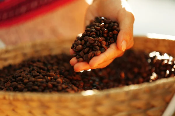 Female hand touching coffee beans — Stock Photo, Image