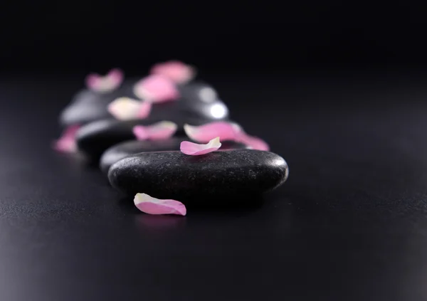 Pebbles with flower petals on black background — Stock Photo, Image