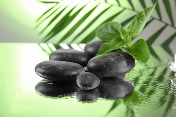 Spa kamienie i gałązką Palmową zielony na jasnozielonym tłem — Zdjęcie stockowe