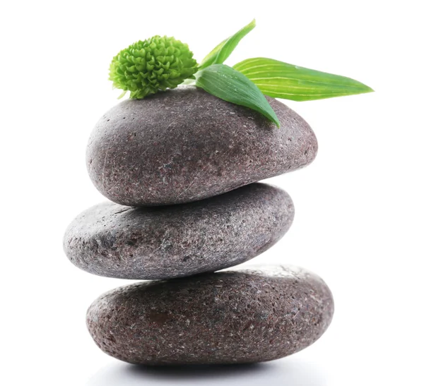 Grey spa stones and green flower — Stock Photo, Image