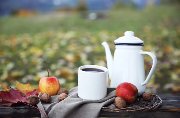 Ancien banc en bois avec théière, fruits et noix sur fond de montagne — Photo