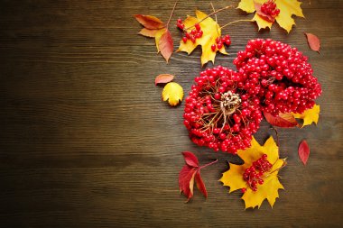 Kırmızı viburnum üzümü 