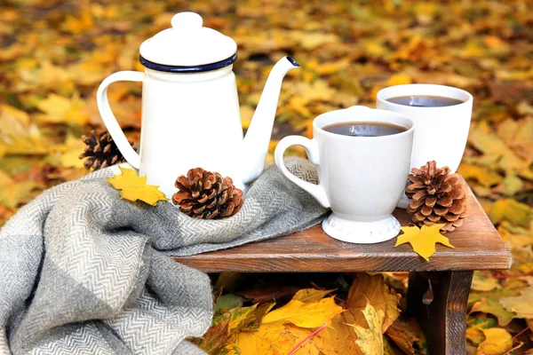 Podzimní kompozici s horký nápoj na pozadí přírody — Stock fotografie