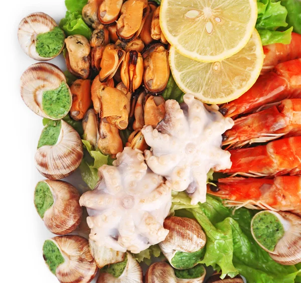 Seafood isolated on white — Stock Photo, Image