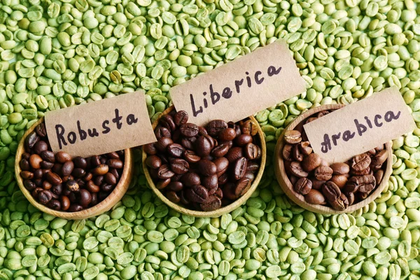 Collection of coffee beans — Stock Photo, Image