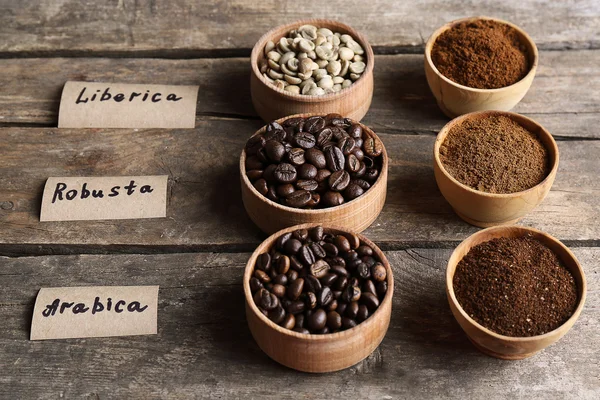 Collection of coffee beans — Stock Photo, Image