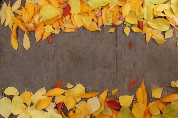 Autumn leaves background — Stock Photo, Image