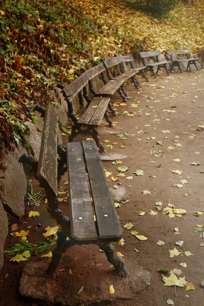 Bancs dans le parc d'automne — Photo