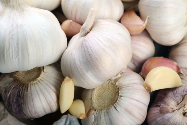 White garlic background — Stock Photo, Image