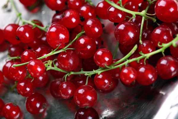 Fresh red currants in bowl close up — Stock Photo, Image
