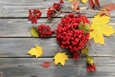 sonbahar yaprakları arka plan