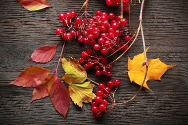 sonbahar yaprakları arka plan