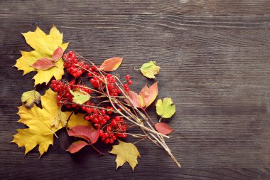 sonbahar yaprakları arka plan