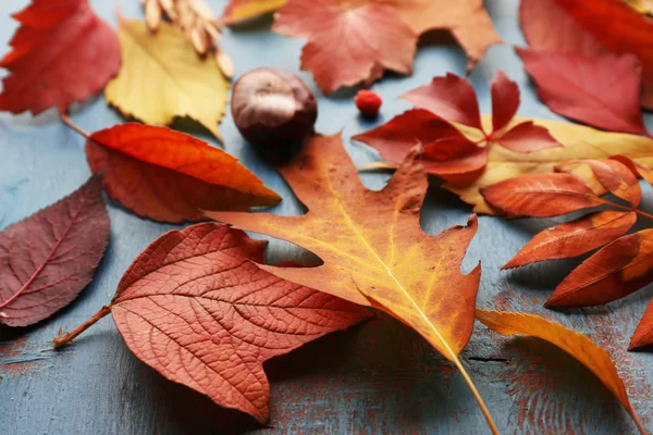 Kleurrijke en lichte gevallen herfst bladeren op blauwe houten achtergrond — Stockfoto