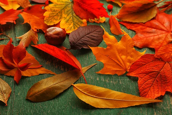 Foglie autunnali colorate e luminose cadute su sfondo verde in legno — Foto Stock