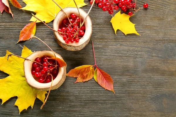 Herbstblätter — Stockfoto