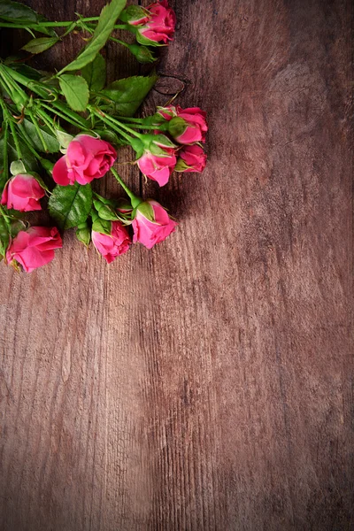 Beautiful bouquet of colourful roses — Stock Photo, Image