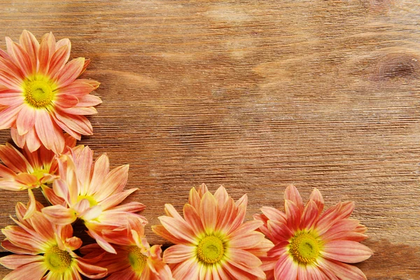 Schöne Blumen auf Holzgrund — Stockfoto