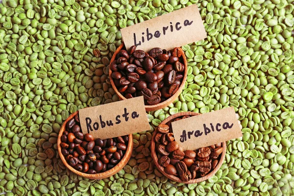 Collection of coffee beans, close up — Stock Photo, Image