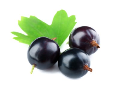 Yeşil yaprak üzerinde beyaz izole vahşi Siyah frenk üzümü