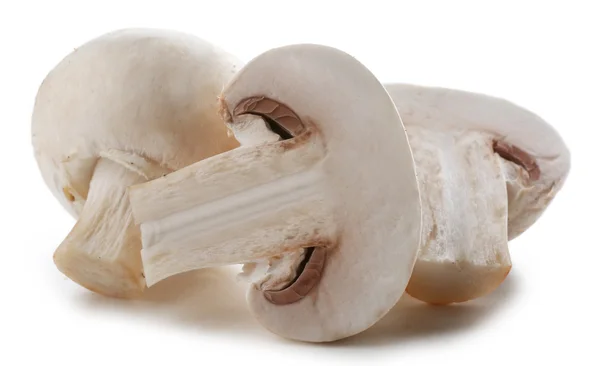 Um bando de cogumelos champignon isolados em fundo branco — Fotografia de Stock
