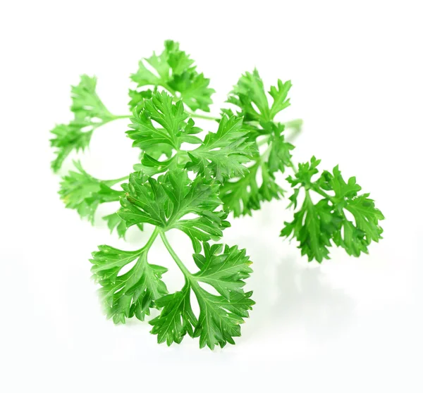 Fresh parsley isolated on white — Stock Photo, Image