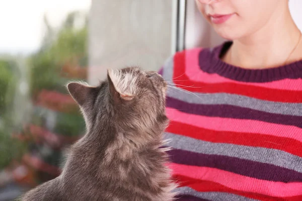 Kvinna i färgglada pullover håller i händerna vacker grå katt nära fönster — Stockfoto