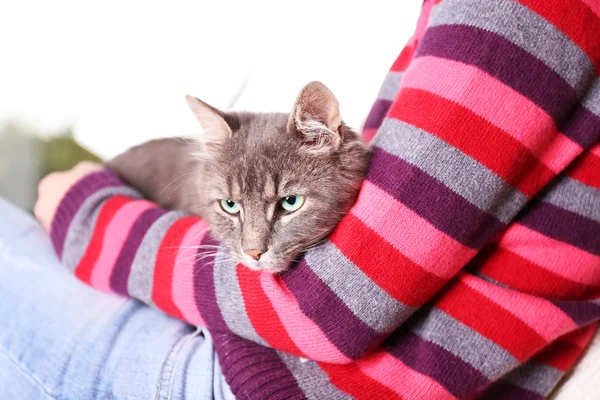 Frau im bunten Pullover hält schöne graue Katze am Fenster in den Händen — Stockfoto