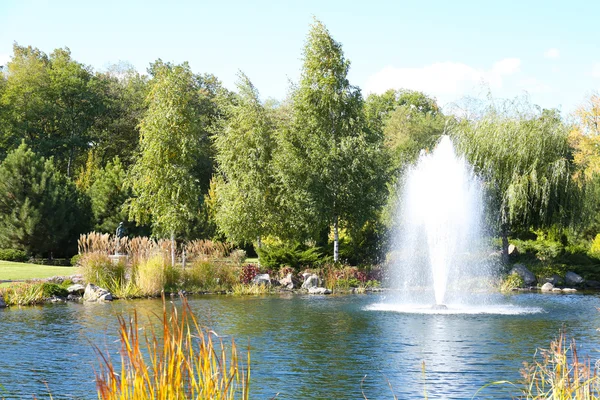 Озеро в летнем парке — стоковое фото