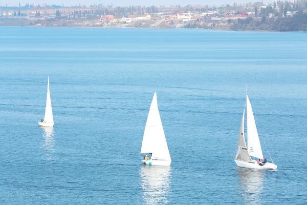 Jachten zeilregatta — Stockfoto